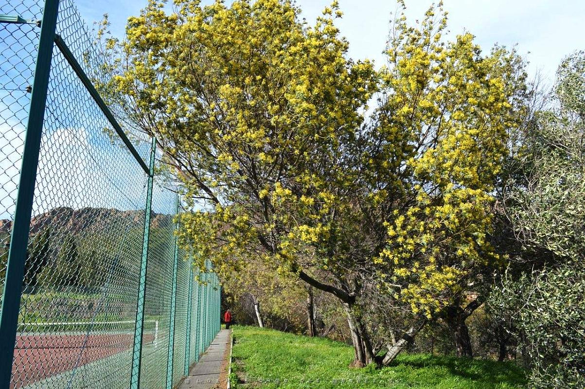 a053- Agay igesa.JPG